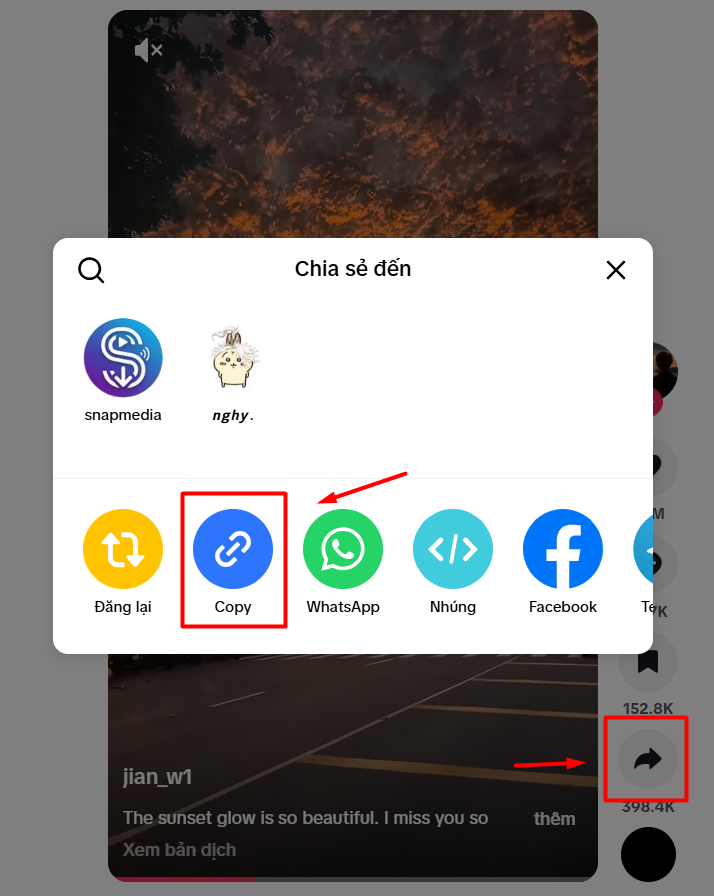 Copy link video Tiktok